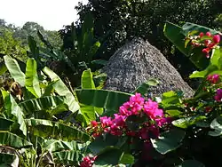 Traditional Huastec hut in the Coyol Ja community, Tancanhuitz Municipality