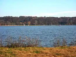 Creve Coeur Lake in the park