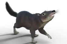 Cronopio dentiacutus