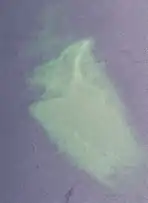 Fisherman Shoal on July 28, 2020