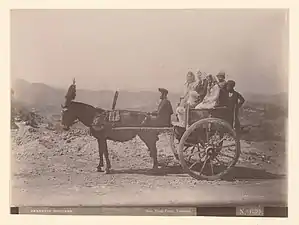 Sicilian cart, 1899
