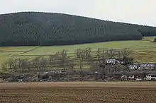 Cultivation terraces, Walkerburn