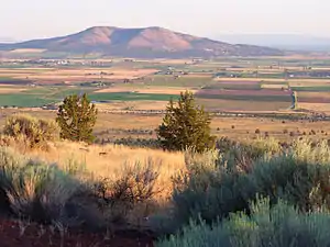 View of Culver from Round Butte
