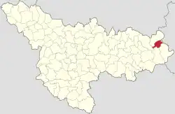 Location in Timiș County