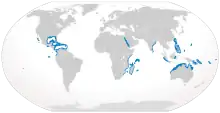 Silvertip shark geographic range