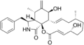 Cytochalasin B