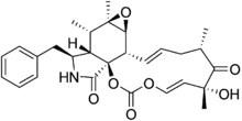 Cytochalasin E