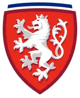 Shirt badge/Association crest
