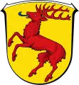 Coat of arms of Hirschhorn