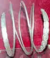 Dacian silver bracelet dated to the 1st century BC; Museum of Transylvania Cluj-Napoca.