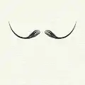 "Dalí" moustache style