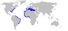 World map with blue shading along the eastern coast of the United States, in the Mediterranean and along the coast of West Africa, and along the eastern coast of South America