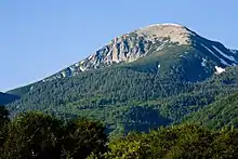 a conifer-covered mountain with a bare, rounded top