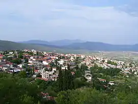 A view of Davleia