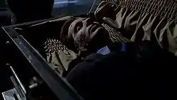 In a darkened room, a deceased man is lying in a coffin. His face is cracked and weathered; the effects of being buried for three months.