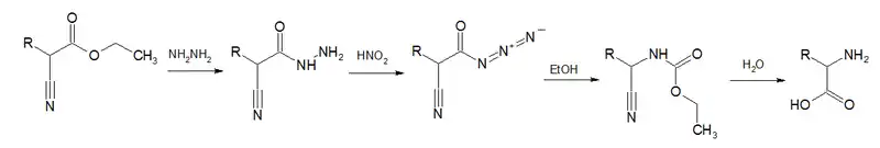 Darapsky degradation