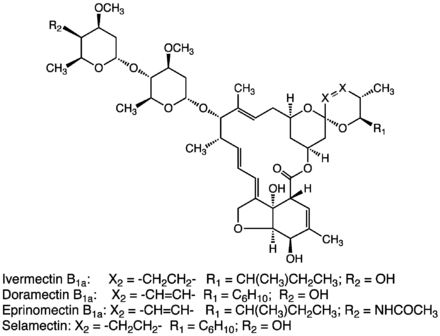 Avermectins are structurally related to emamectin