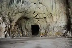 Devetàshka cave