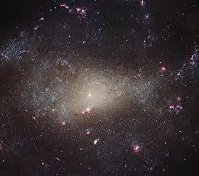 NGC 4242 is a dim galaxy in Canes Venatici.
