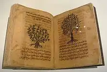 De materia medica in Arabic, Spain, 12th-13th century