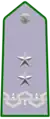 Shoulder insignia of a Dirigente Generale of the Corpo Forestale dello Stato