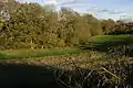 Dirty Ground Copse, and a field, from the south.