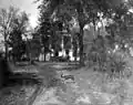 Dog standing in front of The Grove, circa 1905
