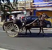 Dokar, the horse cart of Indonesia