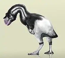 the  Stirton's mihirung  (Dromornis stirtoni) was the largest fowl ever weighing up to 650&nbsp;kg (1,430&nbsp;lb).