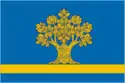 Flag of Dubovka