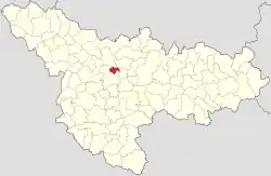 Location in Timiș County