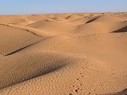 Landscape of the sand dune 'seas' of the Grand Erg Oriental. Other areas are bare rock. There are also Oases, and oil extraction zones.