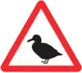 Wildfowl animals Crossing