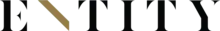 entity mag entity academy logo