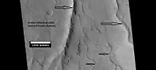 Possible inverted stream channels in Phlegra Dorsa region, as seen by HiRISE under HiWish program. The ridges were probably once stream valleys that have become full of sediment and cemented.  So, they became hardened against erosion which removed surrounding material.