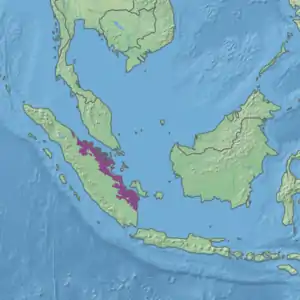 Ecoregion territory (in purple)