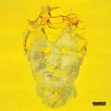 A digitally manipulated photograph of Ed's face on a yellow field and covered with yellow dirt.