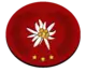 Rank insignia in the Swiss postal service.