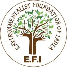 E.F.I Logo
