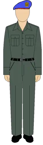 Egyptian Republican guard soldiers filed outfit