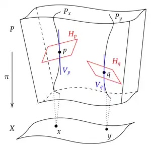 Example of a principal bundle displaying the base spacetime manifold along with its fibers. It also displays how at every point along the fiber the tangent space can be split up into a vertical subspace pointing along the fiber and a horizontal subspace orthogonal to it.