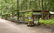 Forest cafe
