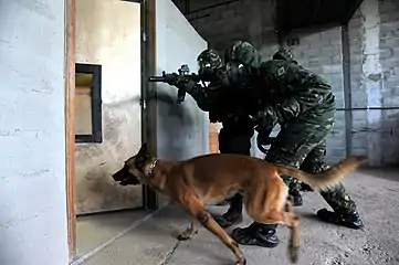 Special Forces training for chemical warfare.