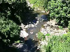 The river near El Cinco.