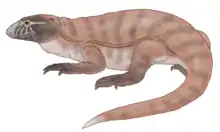 Eldeceeon, an indeterminate Carboniferous reptiliomorph