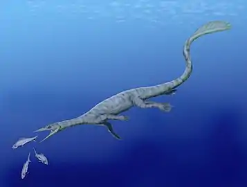 Restoration