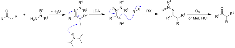 Mechanism of hydrazone alkylation