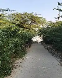 Entrance to White Sand Beach in Bakkhali
