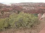 SR-12 goes north up the canyon in the upper left of the photo after crossing the Escalante River.