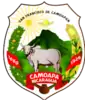 Coat of arms of Camoapa